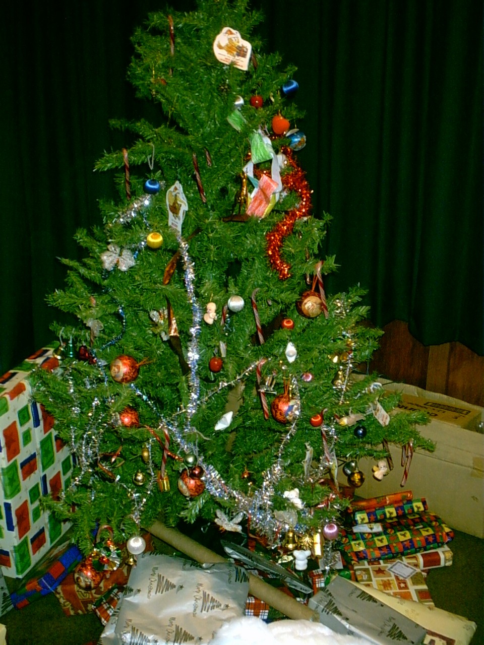 2004_Christmas/Perth Christmas Tree 1.jpg